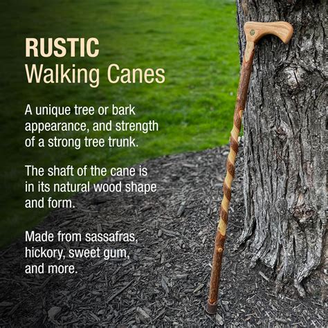 Twisted Sassafras Traditional Rustic Walking Cane 37 Brazos Walking