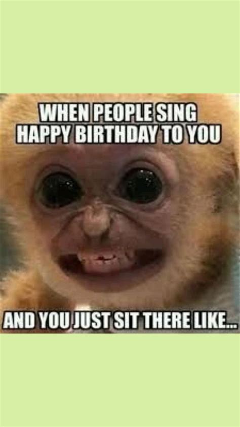 Birthday Meme | Happy birthday to you, Singing happy birthday, Relatable