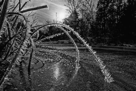 Ice Crystals Lower Rock Creek In The Ozarks Of Missouri Bobc