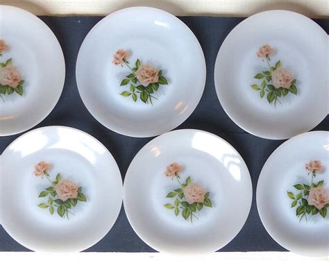 Ancien Fran Ais Assiettes Plates Arcopal France D Cor Fleurs Shabby