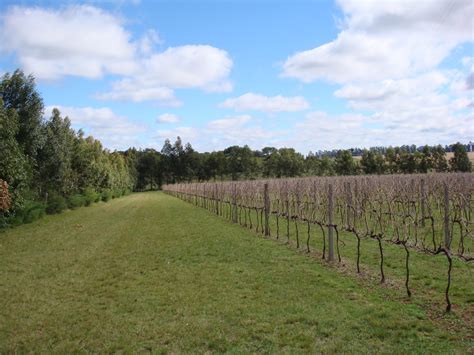 TODOVINHO VINÍCOLA CAMPOS DE CIMA CONSTRUÇÃO DA ADEGA