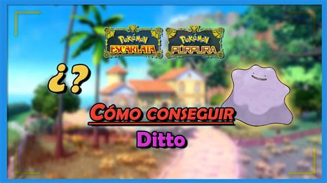 C Mo Identificar Y Capturar A Ditto En Pok Mon Escarlata Y P Rpura