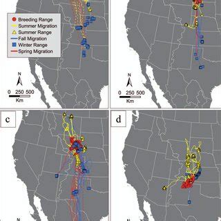 Year-round migration patterns of adult Ferruginous Hawks breeding in... | Download Scientific ...