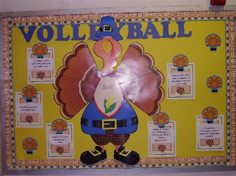 Pec Bulletin Boards For Physical Education