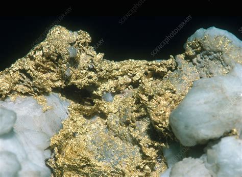 Gold from California - Stock Image - C012/0536 - Science Photo Library