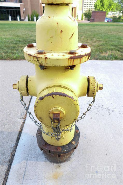 Yellow Fire Hydrant Photograph By Bentley Davis Fine Art America