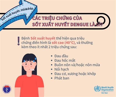 10 Biện pháp phòng chống bệnh sốt xuất huyết an toàn và hiệu quả cho