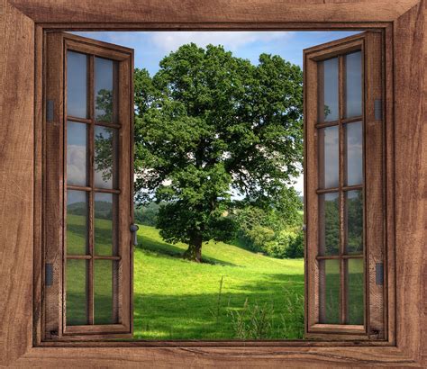 Window View Tree Free Photo On Pixabay