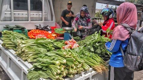 Jualan Sayur Keliling Pakai Mobil General Tips