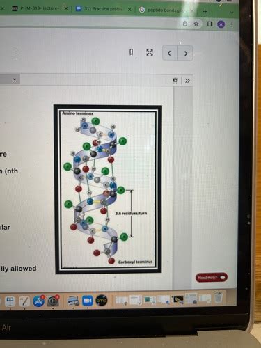 Lecture 4 Biochem Flashcards Quizlet