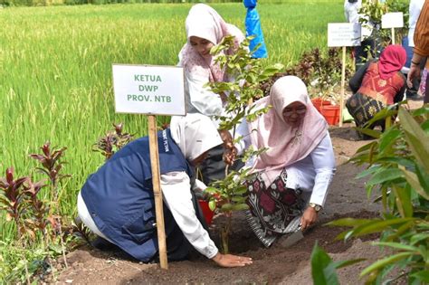 Bunda Niken Ikuti Penanaman 1000 Pohon Serentak Se Indonesia Biro