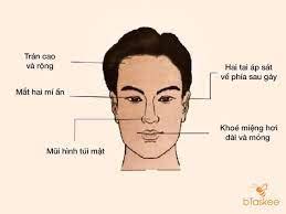 Dental Physiognomy Reading Teeth For Insightful Character Analysis