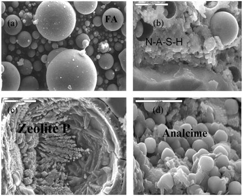 Scielo Brasil Reaction Mechanisms Of Alkali Activated Materials