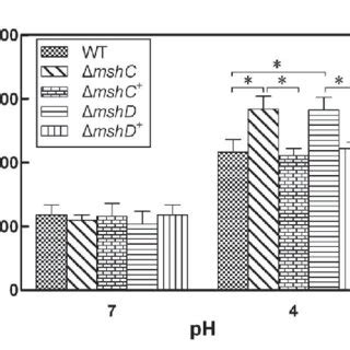 Effects Of Msh On Intracellular Ros Accumulation In C Glutamicum