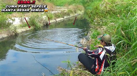 Mancing Di Parit Dapat Ikan Besar Bonus Ikan Purba Youtube