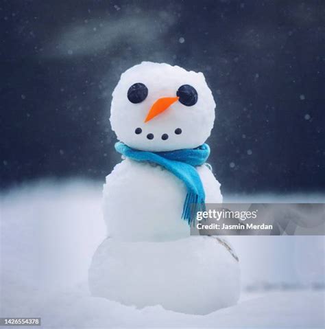 Snowball Fight Snowman Photos And Premium High Res Pictures Getty Images