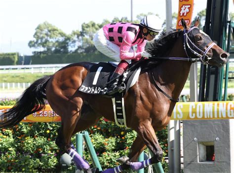 【競馬】斤量はレース結果に影響する？タイム差・距離などを徹底調査しました