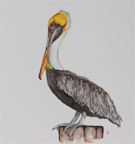 Pelican Painting, Pelican Art, Pelican Watercolor, Bird Lover Gift ...