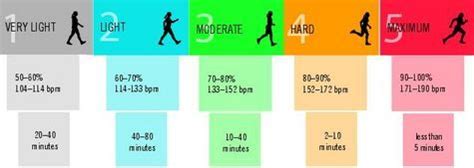 La Frecuencia Card Aca Y El Entrenamiento C Mo Se Calcula Qu Valores