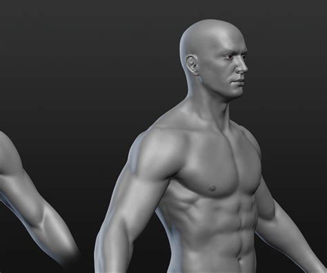 Artstation Male Basemesh Resources