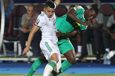 Can 2019 L`algérie Remporte La Finale Face Au Sénégal Aniamey Photos