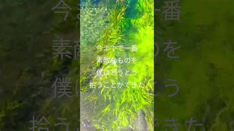 僕が一番欲しかったもの・槇原敬之さん 槇原敬之 さん 僕が一番欲しかったもの Youtube