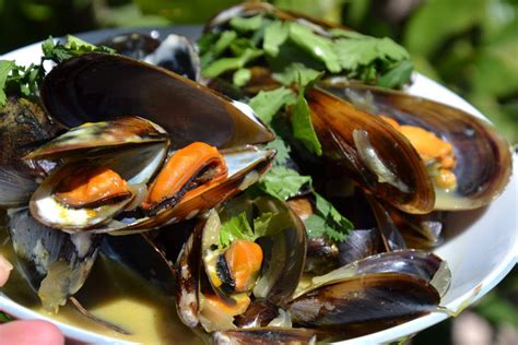 Moules Au Curry Au Cookeo Kanisette