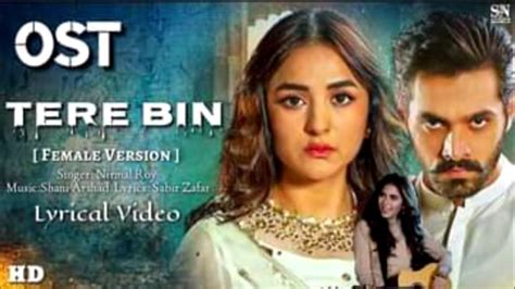 Tere Bin Ost Full Lyrics Song [female Version ] Nirmal Roy Wahaj Ali