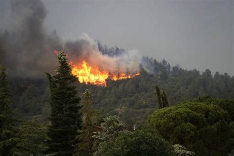 L incendi de Baldomar afecta 2 600 hectàrees i es treballa intensament