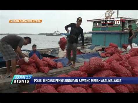 Bea Cukai Gagalkan Penyelundupan 70 Ton Bawang Merah YouTube