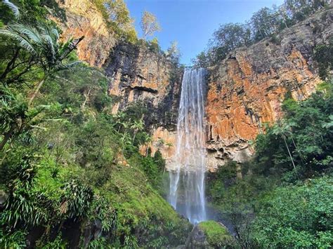 The best Springbrook National Park walks and waterfalls