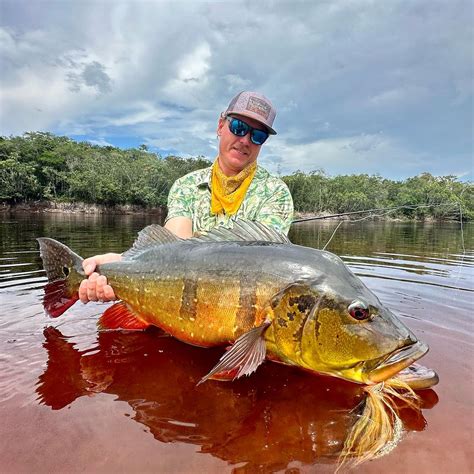 Angler Story Of The Week Pure Chaos In The Amazon Flylords Mag