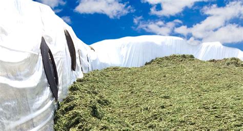 Reducing farm expenses: optimizing forage production and use