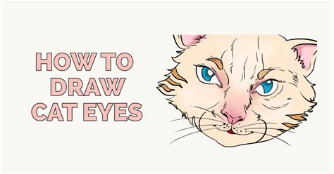 How To Draw Cat Eyes Really Easy Drawing Tutorial