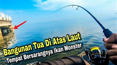 Ampuh Mancing Pake Umpan Satu Ini Gak Pake Lama Pasti Langsung