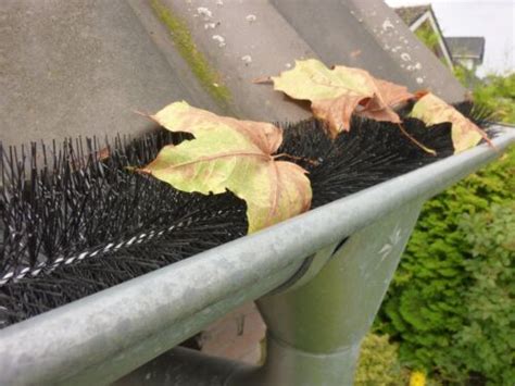 Rinnenb Rste Laubschutz M Bl Tter Blatt Schutz Mader Dachrinne