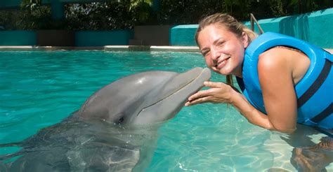 Nado con delfines Splash Acuario Interactivo Cancún GetYourGuide