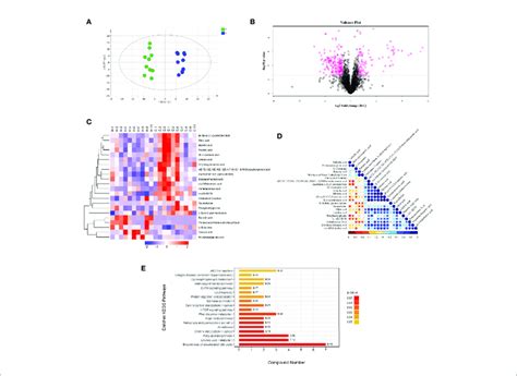 Negative Ion Mode Multivariate Statistical Analysis Heat Map Download Scientific Diagram