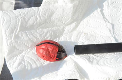 Tuto Bricolo Les Coquilles De Noix Se D Guisent En Coccinelle