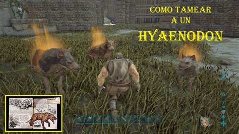 Ark Survival Evolved Extinction Extinción Como tamear a un