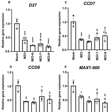 Effect Of Mz Derivatives On Gene Expression Associated With