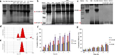 Redox Triggered Ova Release From Olm D And Ph Sensitive Disassembly