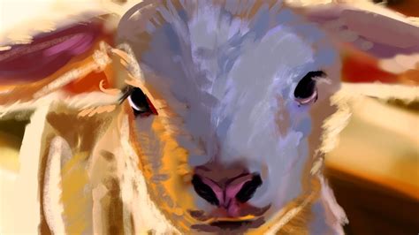 Discover The 5 Best Sheep Drawings In Procreate YouTube