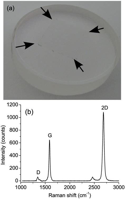 A CVD Grown Monolayer Graphene Transferred To A Totally Reflective