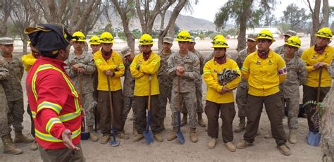 Conaf Capacita A La Brigada Del Ej Rcito Para El Combate A Los