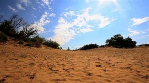 Fennec Habitat Caract Ristiques Tout Savoir Sur Le Renard Des Sables