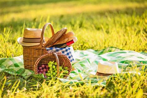 Najpiękniejsze miejsca na piknik w Polsce Podroze se pl