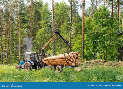 Wood Harvesting European Timber Industry Harvester Rides In The