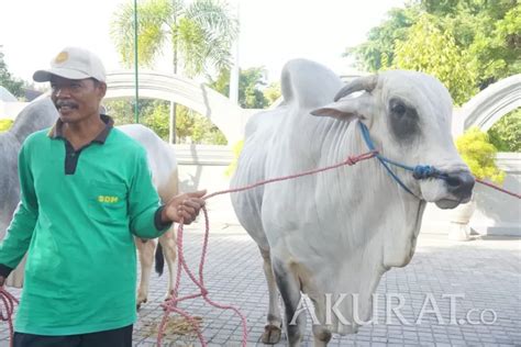 Harus Tahu Dan Jangan Sampai Salah Ini Batas Dan Ketentuan Waktu