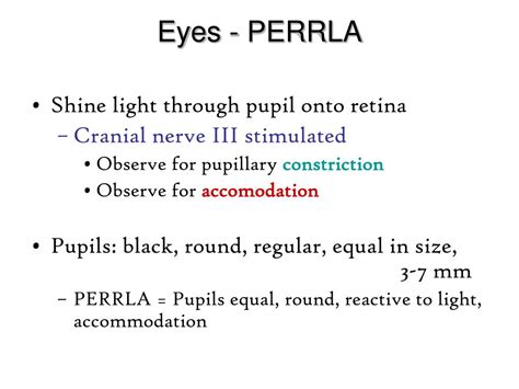 Ppt Basic Physical Assessment Head To Toe Assessment Major Body